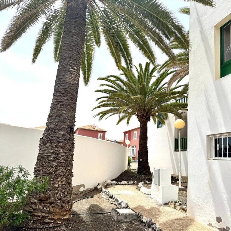 Sun Ventura - Apartamento de 1 dormitorio - 16