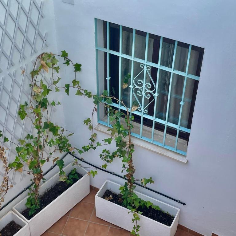 Geysotur Villa de Viana - Apartamento de 1 dormitorio - 37