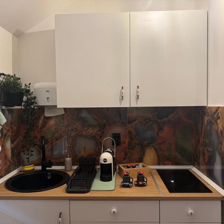 Gaga Gold - Apartman sa 1 Spavaćom Sobom - 7