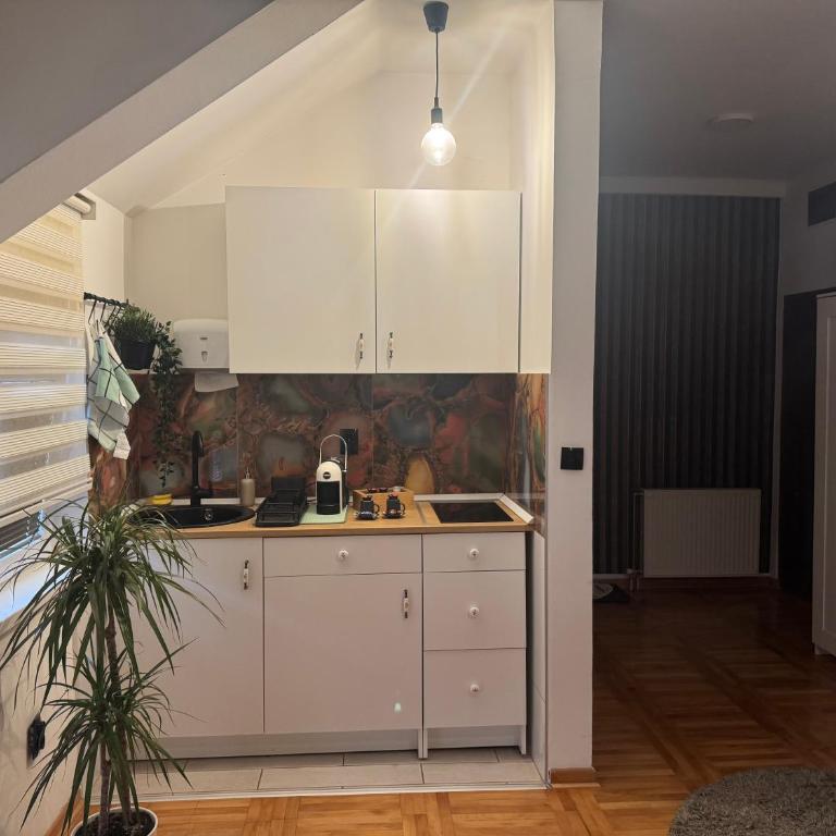 Gaga Gold - Apartman sa 1 Spavaćom Sobom - 6