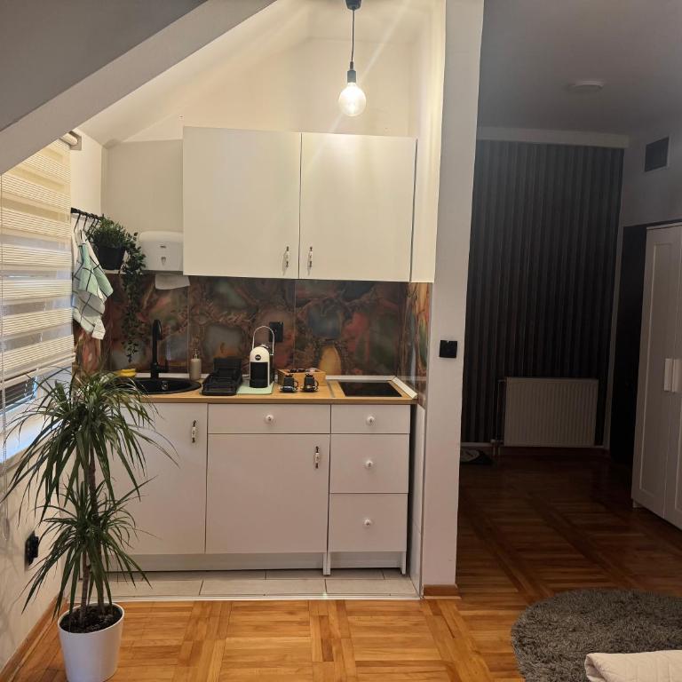 Gaga Gold - Apartman sa 1 Spavaćom Sobom - 5