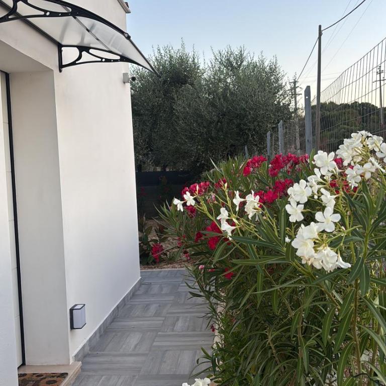 Casa vacanza fenice - Appartamento con 1 Camera da Letto - 5