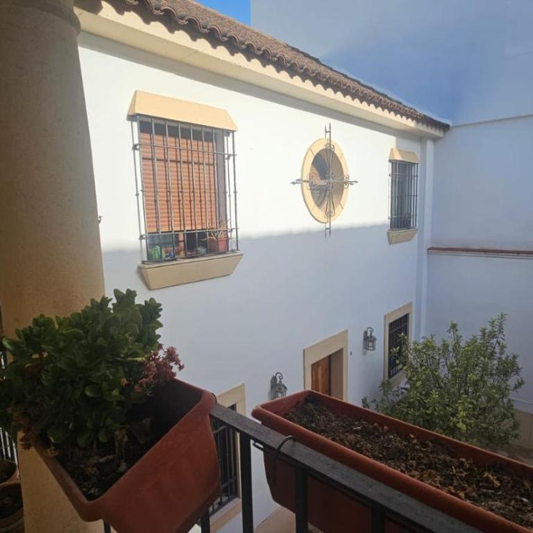Apartamento Menina San Agustin - One-Bedroom Apartment - 21