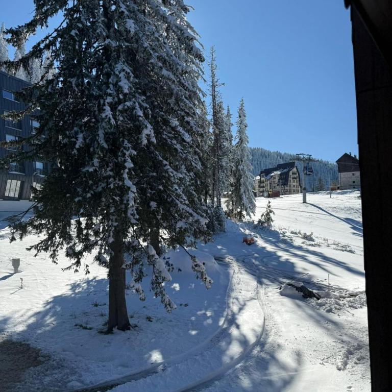 Una Carpa Jahorina - Deluxe Apartment - 8