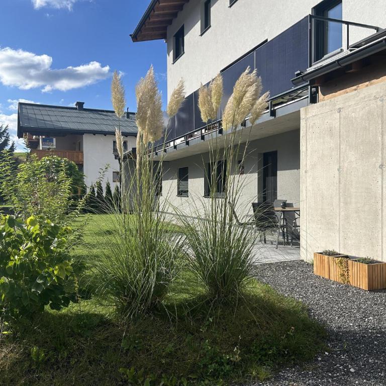 Apartment Bergfieber - Apartment mit Dusche - 2