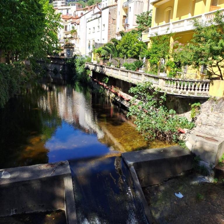 Coup de cœur 3 étoiles terrasse parking Wifi à 70 m des thermes - Appartement 1 Chambre - 33
