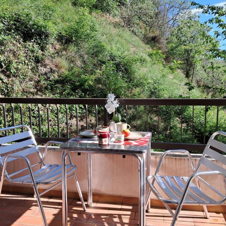 Coup de cœur 3 étoiles terrasse parking Wifi à 70 m des thermes - Appartement 1 Chambre - 2