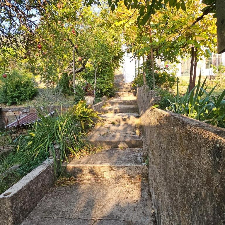 Citrus Centre Tivat - Apartman sa 1 Spavaćom Sobom - 12