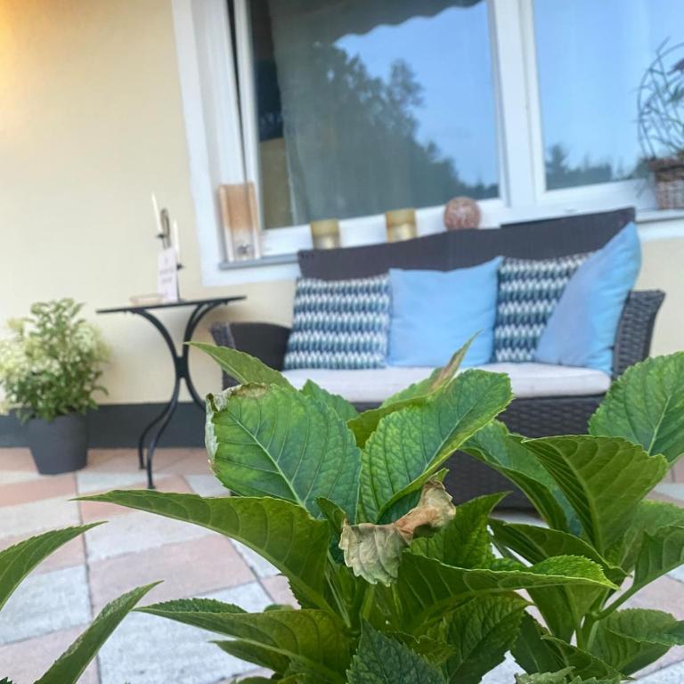 Studio Cleo - ein Raum - Bad extern - Studio-Apartment - 17