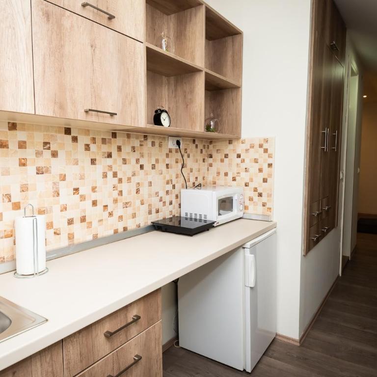 Jasha Apartments - Standardna Soba sa King-sajz Krevetom - 3