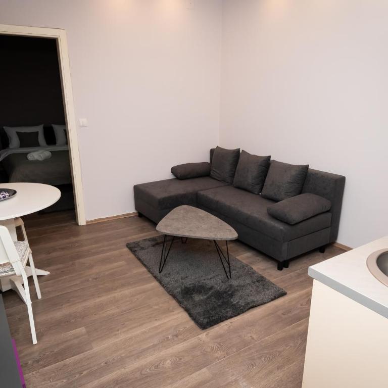 Jasha Apartments - Četvorokrevetna Soba sa Kupatilom - 7