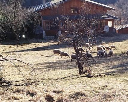 location meublé touristique - Studio - Vue sur Montagne - 28
