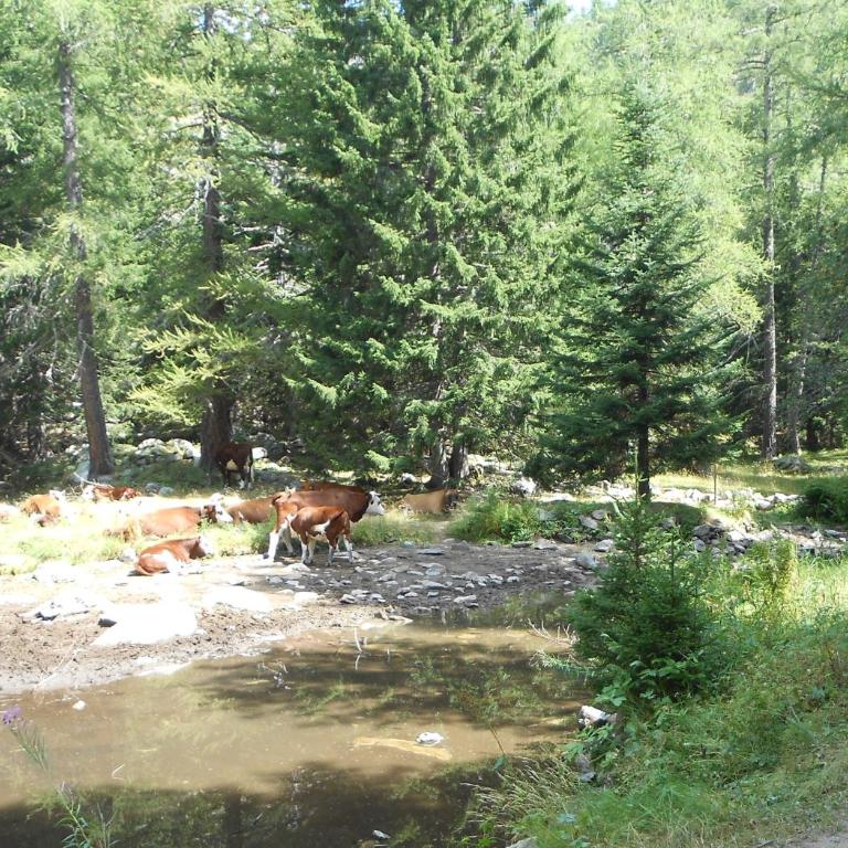 location meublé touristique - Studio - Vue sur Montagne - 31