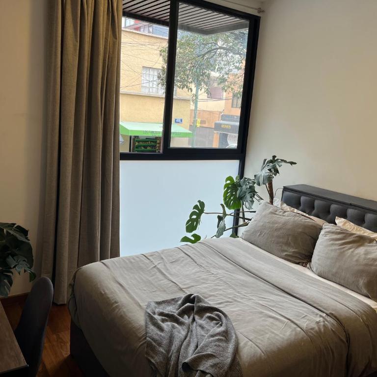 Homestay in Mexico City - Double Room - 4