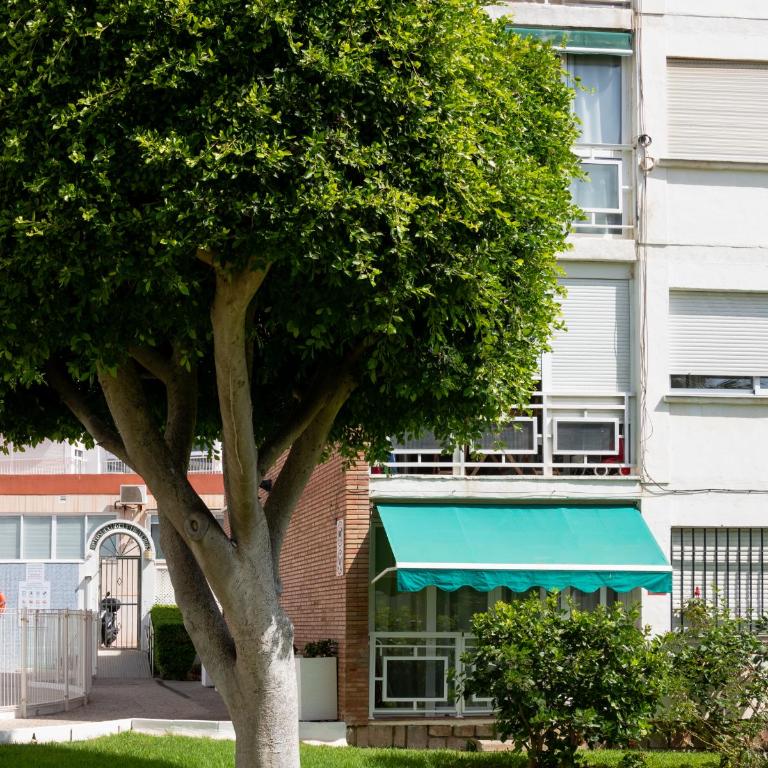 Sun Beach Delfín Verde Apartamento E11 - Apartamento de 1 dormitorio - 33