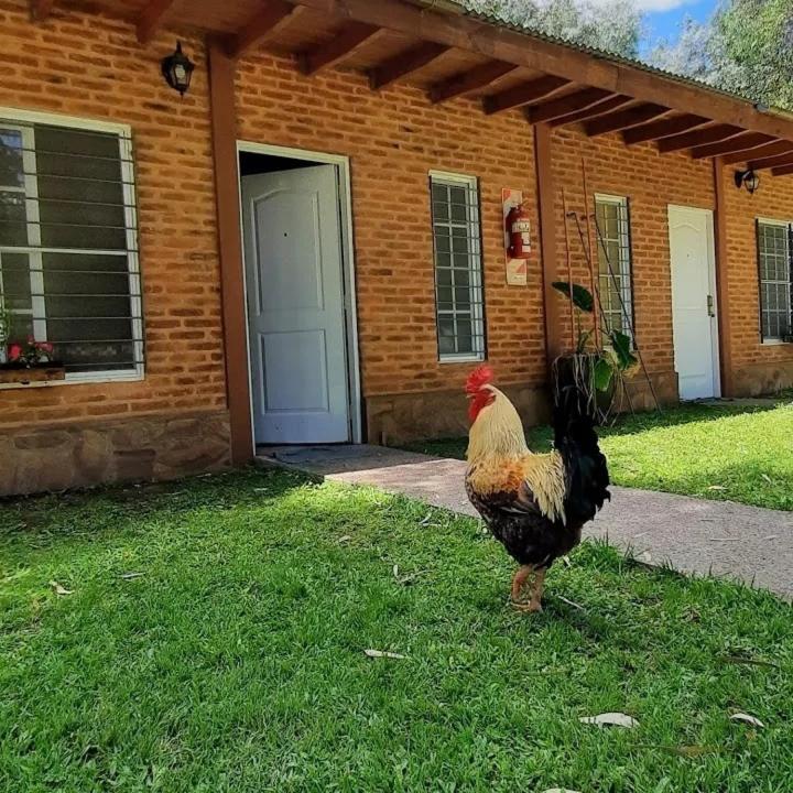 Cabañas El Encuentro - Casa de 2 dormitorios - 14