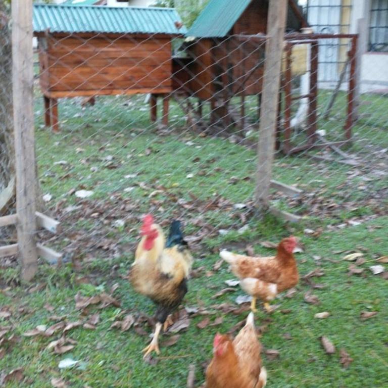 Cabañas El Encuentro - Casa de 2 dormitorios - 25