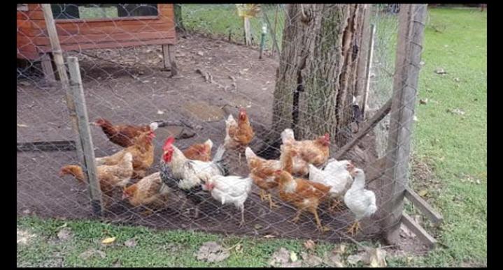 Cabañas El Encuentro - Casa de 2 dormitorios - 26