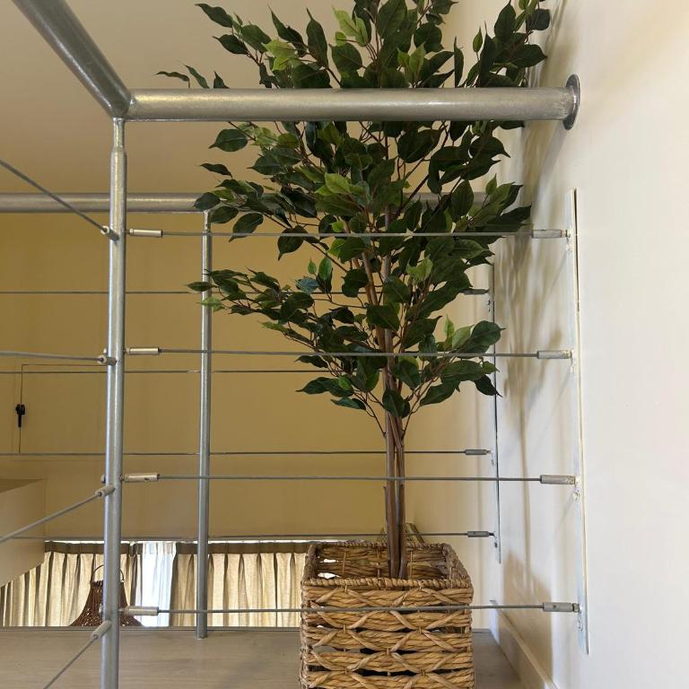 Pura Vida - Plaza Alberdi - Apartamento Dúplex - 20