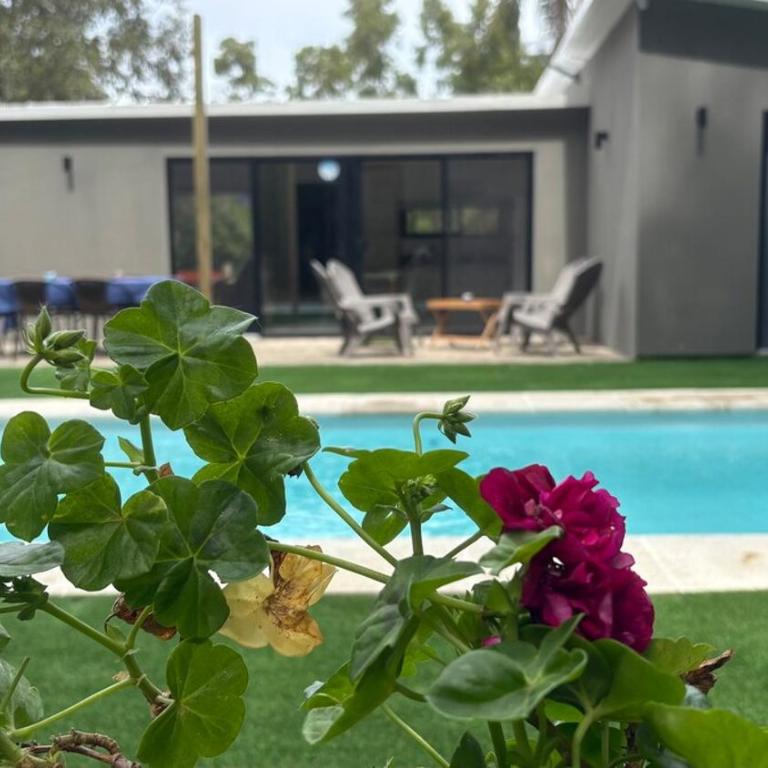 Bosque, mar y tranquilidad - Casa de 2 dormitorios - 40