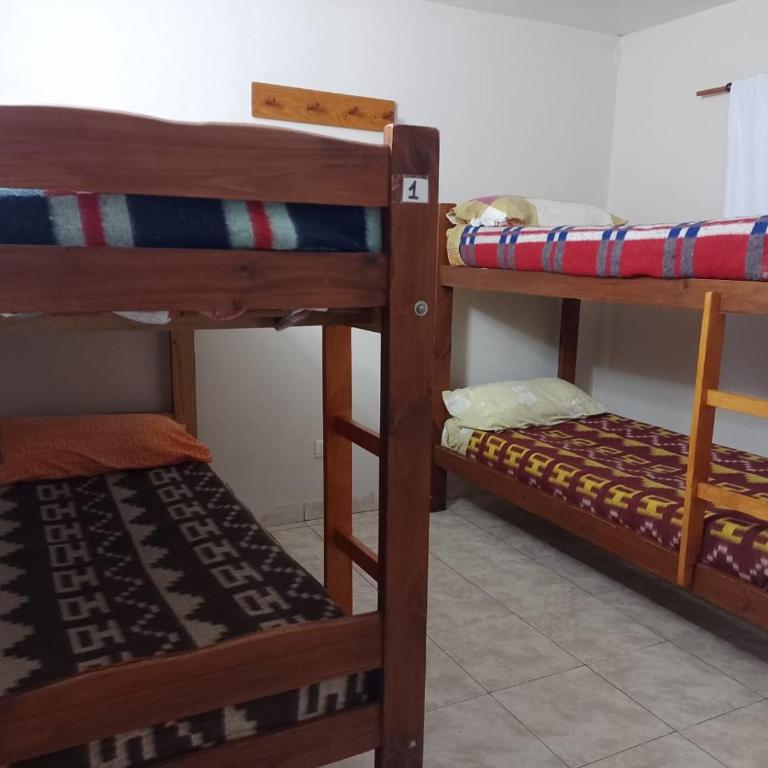 Hostel Glaciar Marconi I - Habitación Compartida Mixta - 4 camas - 15