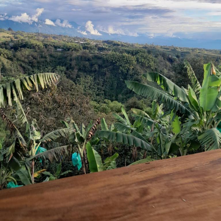 Cabañas la Miranda - Cabaña de 1 dormitorio - 34