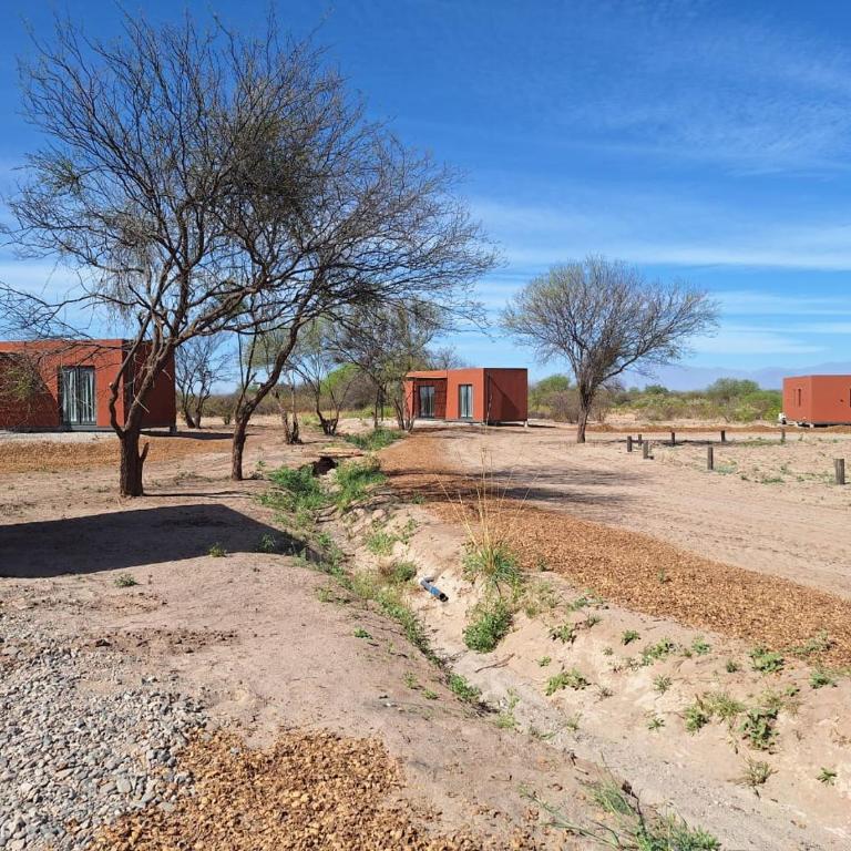 Eco Lodge - Campos de artaza - Bungalow Estándar - 13