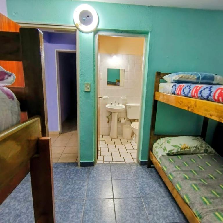 Hostel Glaciar Marconi I - Habitación Compartida Mixta de 6 camas - 4