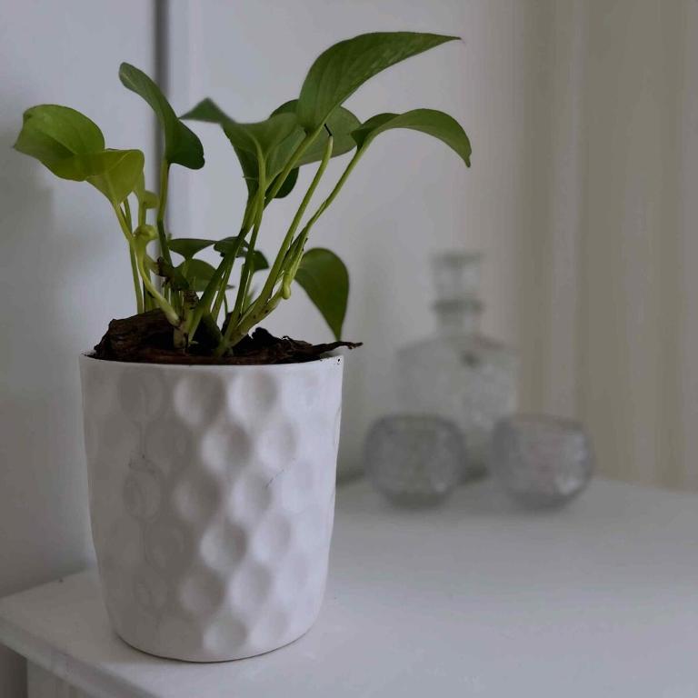 Monoambiente con balcón soleado - Apartamento de 1 dormitorio - 33