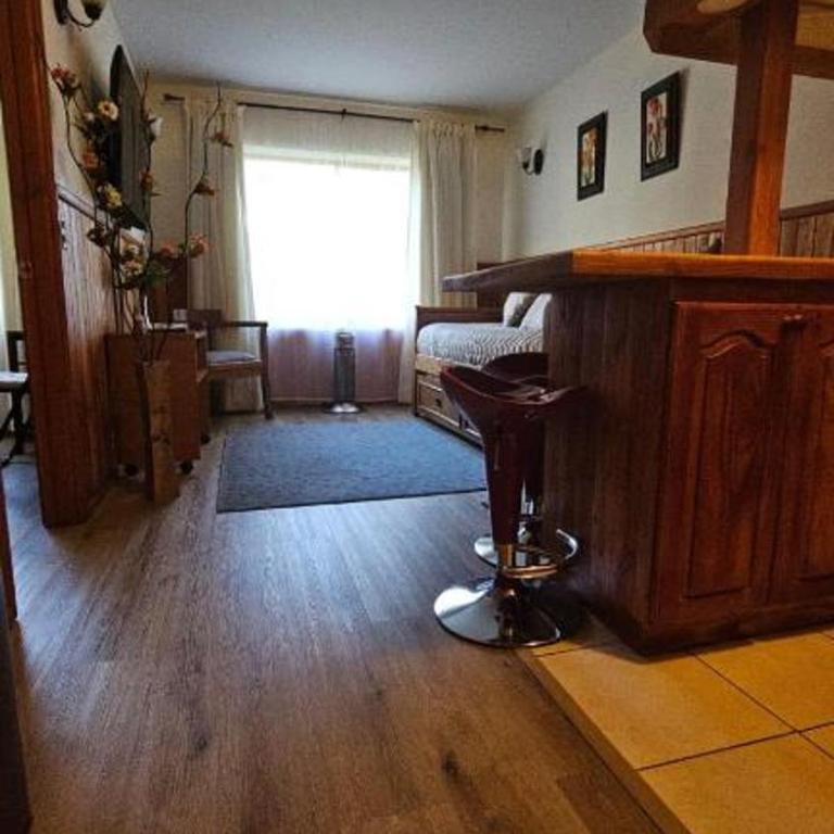 Departamento Acogedor Parque Suizo 800 Pucon - Apartamento Estándar - 7