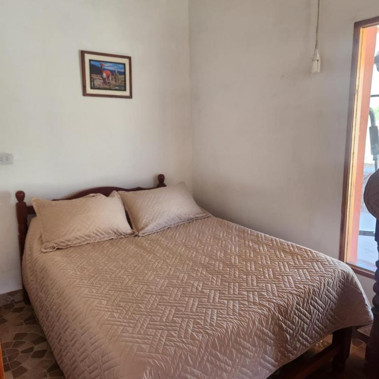 Wayra del Cerro - One-Bedroom Apartment - 3