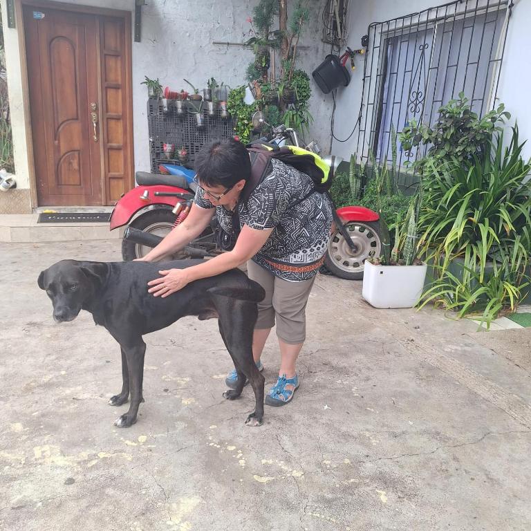 Casa Albacora - Apartamento de 2 dormitorios - 30