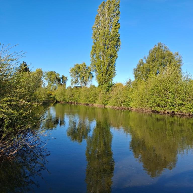 Ribera Calle Calle - Casa con 1 dormitorio - 22