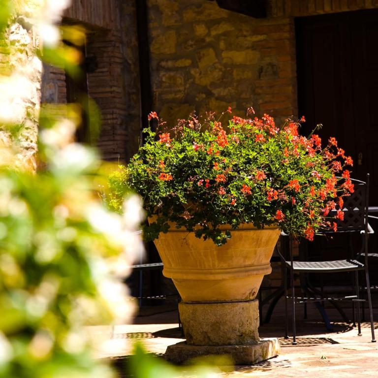 Casale di Villore - Appartamento - Piano Terra - 8
