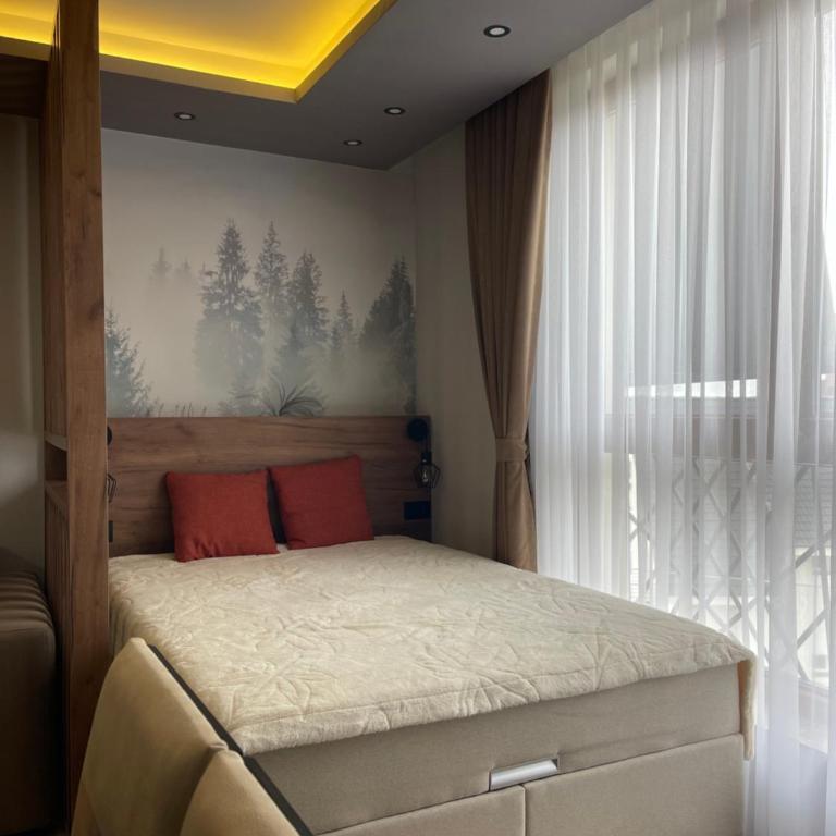 Evergreen Lux - One-Bedroom Apartment - 4