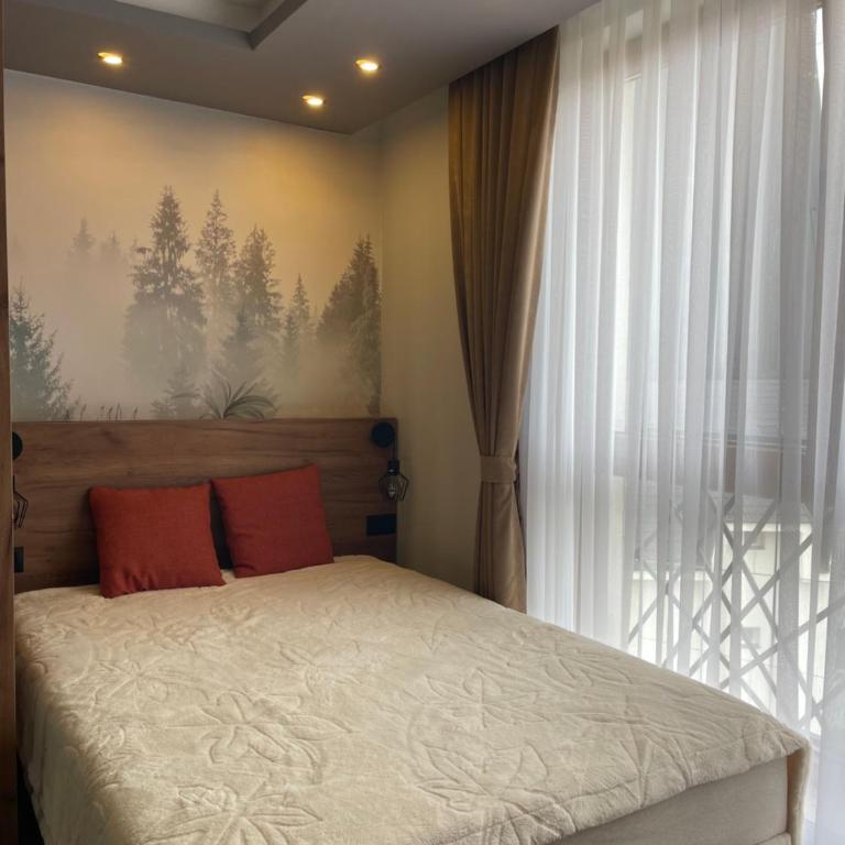 Evergreen Lux - One-Bedroom Apartment - 3