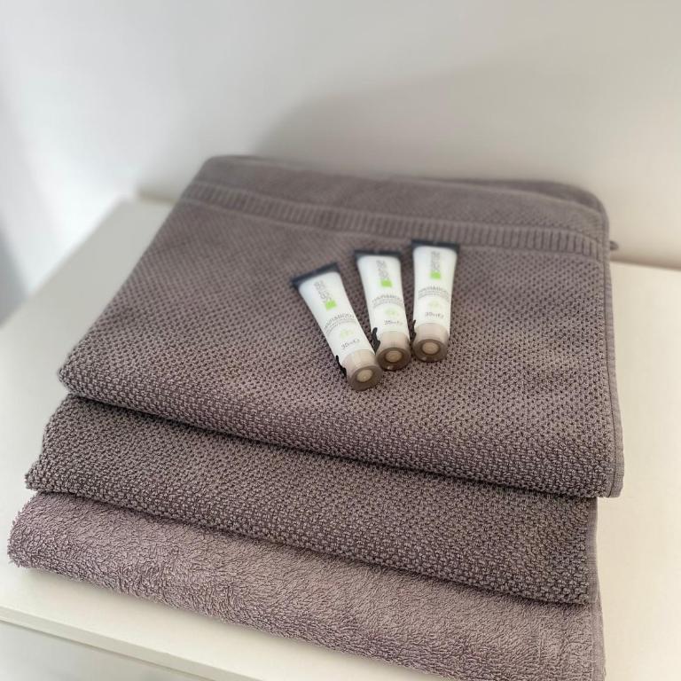 Cocon au cœur de Dijon - Appartement 1 Chambre - 10