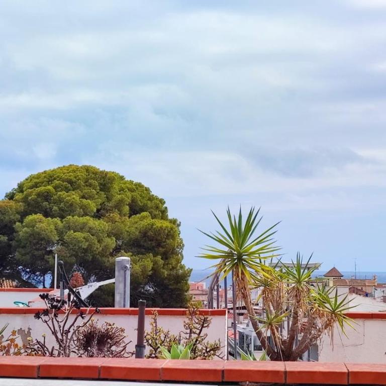 Cosy flat in pretty seaside town - Apartamento de 2 dormitorios - 9