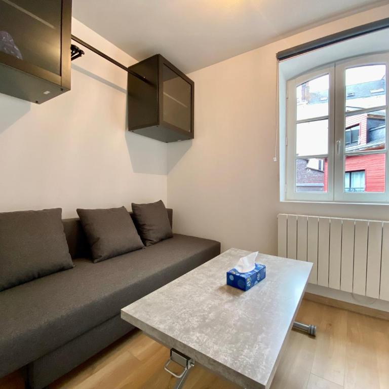 Charmant studio centre-ville - 039 - Appartamento Monolocale - 1