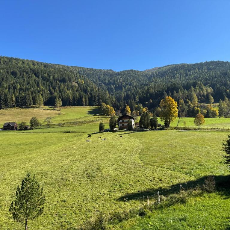 Apartment BergWiese 225 - Appartamento con 2 Camere da Letto - 15