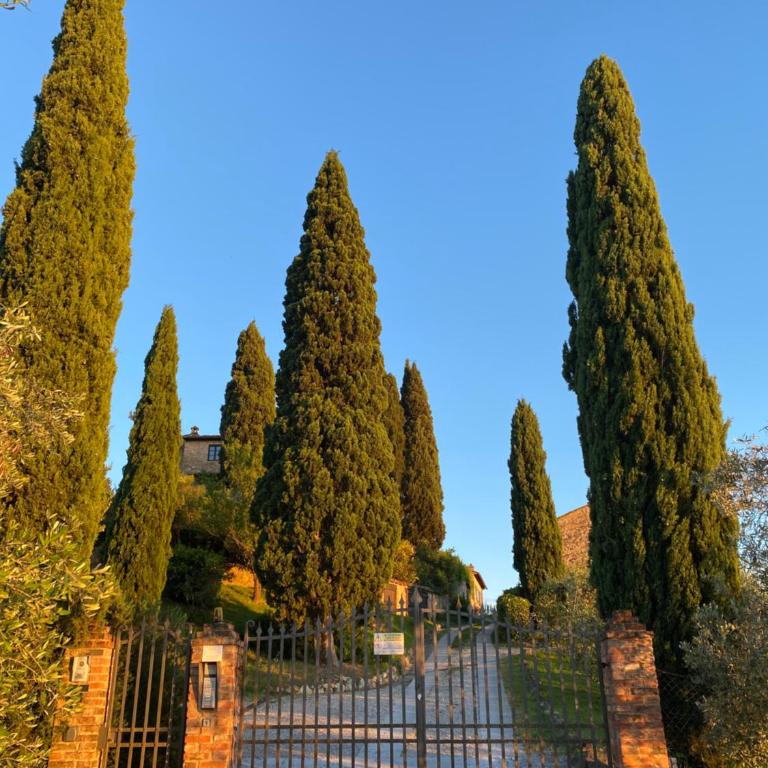 Montagnana Country House - relax and stunning view - Two-Bedroom Apartment - 6