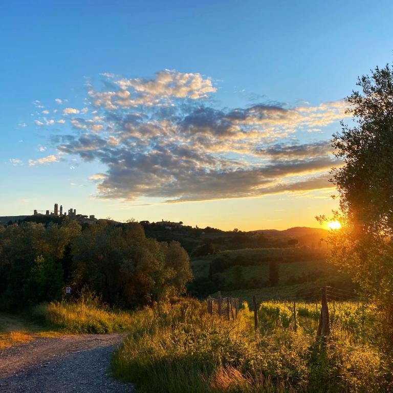 Montagnana Country House - relax and stunning view - Two-Bedroom Apartment - 7