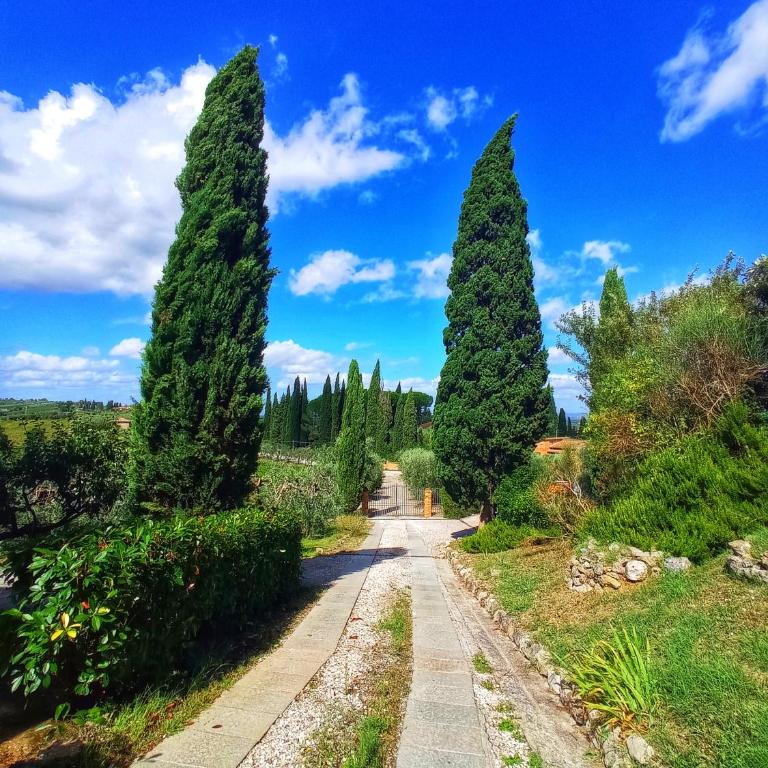 Montagnana Country House - relax and stunning view - Two-Bedroom Apartment - 37