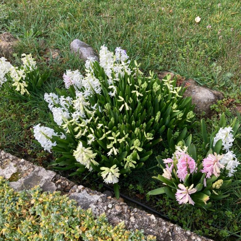 Super maison 5 pièces avec jardin - Villa de 3 dormitorios - 33