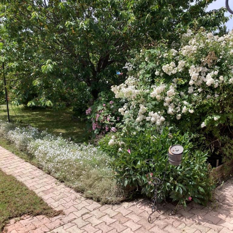 Super maison 5 pièces avec jardin - Villa de 3 dormitorios - 43