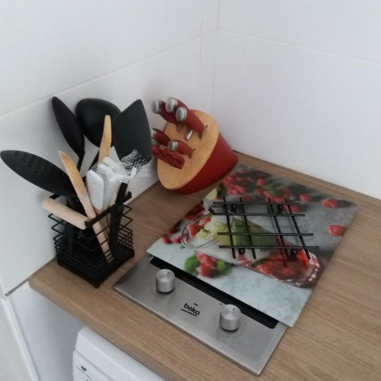 Coup de cœur 3 étoiles terrasse parking Wifi à 70 m des thermes - Appartement 1 Chambre - 14