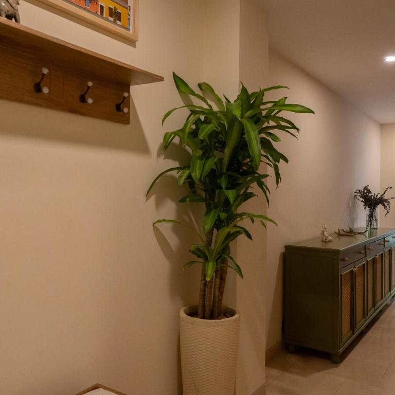 Casa Chance - Apartamento de 2 dormitorios - 19