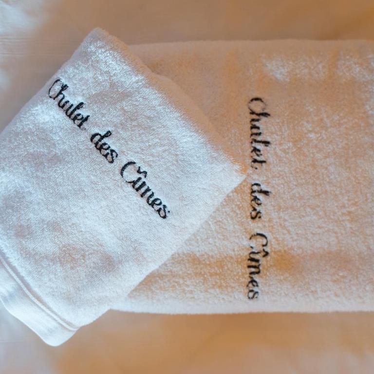 Chalet des Cîmes, chaleureux avec jacuzzi et sauna - Chalet - 17