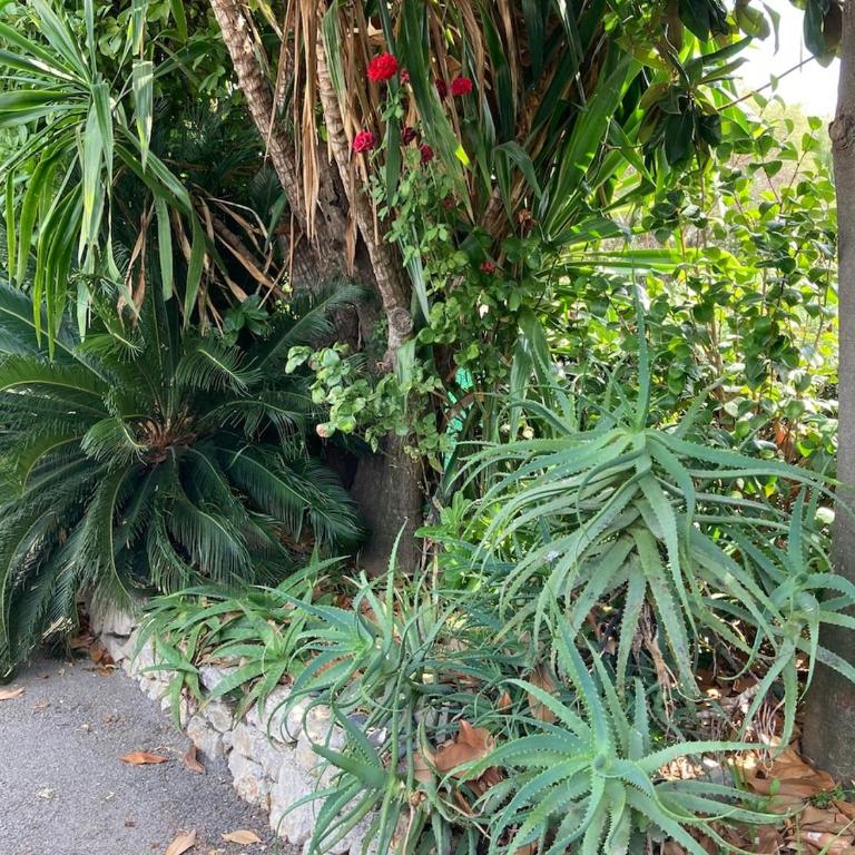 Beautiful Villa, 8p, comfort, quiet, beaches and center - Villa avec Piscine Privée - 21