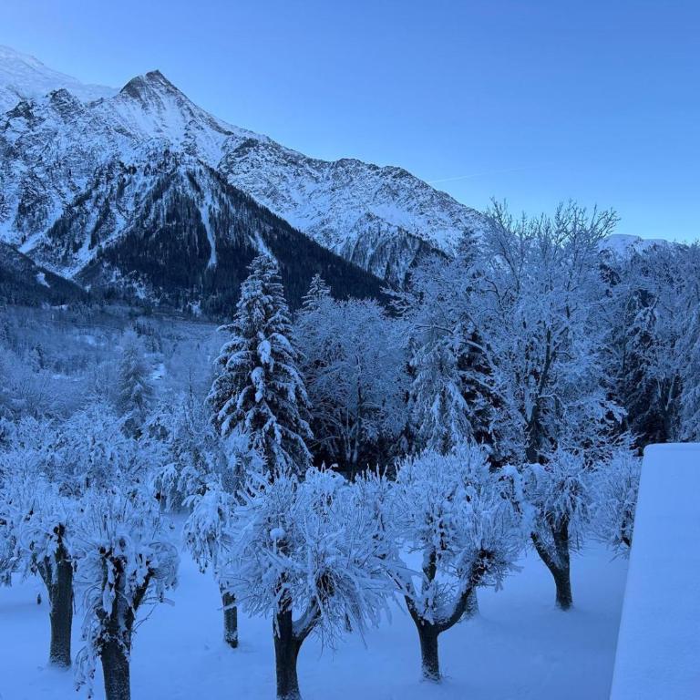 L'écrin des Bossons - Chalet - 29